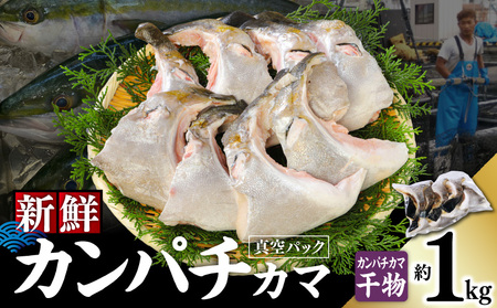 新鮮カンパチ カマ干物 約1kg M079-012-03 冷凍 加工品
