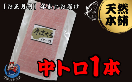y N z_ސ쌧 A VR {}O g TN y p z M077-013-02 {܂ ܂ hg _ސ쌧ƋgA ӂ邳Ɣ[ OYs  LO v[g
