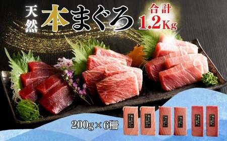 [みんなの心彩る]天然本まぐろ 1.2kg(大トロ400g、中トロ400g、赤身400g) M020-025-02