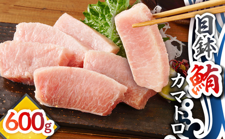 目鉢鮪 カマトロ 600g M081-009 マグロ 鮪 まぐろ 目鉢まぐろ マグロ 脂カマ 希少部位 希少 しゃぶしゃぶ 刺身 通 人気 美味しい おいしい 贅沢 ご褒美 テイ・エス・シイ ふるさと納税 神奈川県 三浦市 おすすめ ランキング プレゼント ギフト