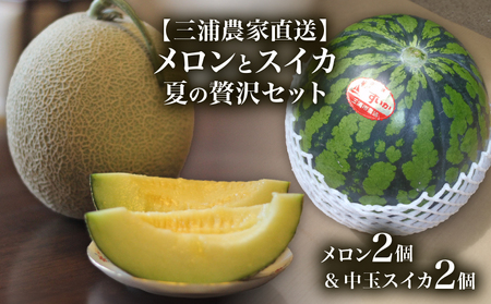 [ 三浦 農家 直送 ]メロン と スイカ 夏 の 贅沢 セット M003-009 中玉 甘い 甘味 果物 フルーツ 西瓜 採れたて 夏季 期間限定 限定 すいか めろん 旬の果物 果実 贈答 プレゼント ヤマイチ農園 ふるさと納税 神奈川 三浦市 おすすめ ランキング ギフト