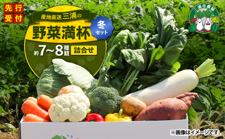 おいしさを全力に 三浦 の 野菜満杯セット( 冬 ) M109-002-01 野菜 旬 詰め合わせ ミネラル 大根 キャベツ レディサラダ 白菜 小松菜 水菜 ほうれん草 カブ 春菊 サニーレタス リーフレタス ターサイ 冬 三浦市農業協同組合 ふるさと納税 神奈川県 三浦市 おすすめ ランキング プレゼント ギフト