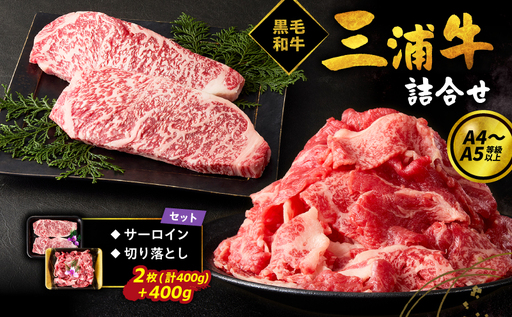 三浦牛サーロイン ・ 三浦牛切り落とし 詰め合わせセット M082-004 肉 牛肉 冷凍