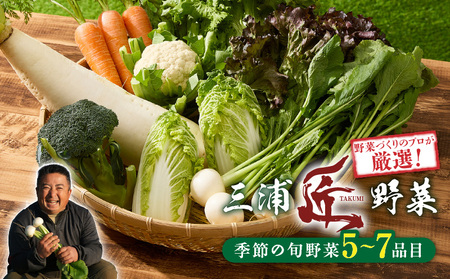 三浦の匠野菜 M127-001 野菜 季節の野菜 三浦かぶ