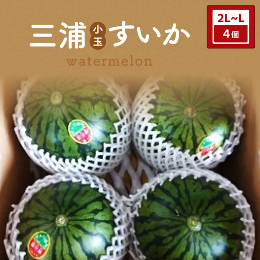 [ 先行予約 ] 三浦 小玉 すいか 2L〜Lサイズ × 4個 M129-004-02 フルーツ 果物 果実