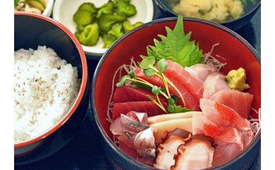 老舗魚屋直営店！まぐろ食堂七兵衛丸ペアお食事券＋まぐろのお土産セット M006-003-02 