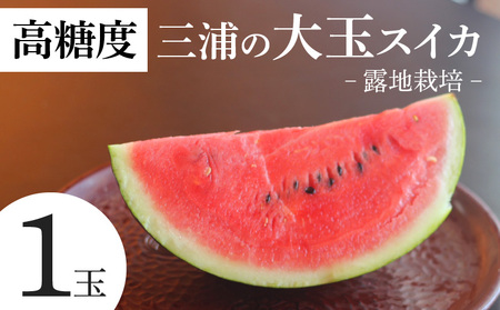 [高糖度]三浦 の 大玉 スイカ 1玉[露地栽培] M072-001-01 甘い 甘味 果物 フルーツ 西瓜 夏季 期間限定 限定 角田農園 ふるさと納税 神奈川 三浦市 おすすめ ランキング プレゼント ギフト