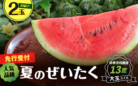 y x zOY   XCJ 2ʁy In͔| z M072-001-02  Â Ö ʕ t[c Z ċG Ԍ   {̉ʕ ʎ  v[g pc_ ӂ邳Ɣ[ _ސ OYs