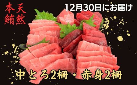 y p B z VR{ Ƃ 2 E Ԑg 2 i 2025N1230 ɂ͂ j M005-051-02 ܂ }O  O O` CN   ≮ ӂ邳Ɣ[ _ސ OYs  L