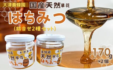 009-30大津養蜂園の天然はちみつ(詰合せ2種セット)170g×2個 / 国産 大津養蜂園 秦野市内の畑や野山 蜜蜂 天然はちみつ 花の香 芳純 味わい 天然単花蜂蜜 8種類あるはちみつ中セレクトした2種類をお届け