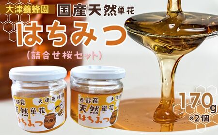 011-15大津養蜂園の天然はちみつ(詰合せ桜セット)170g×2個 / 国産 大津養蜂園 秦野市内の畑や野山 蜜蜂 天然はちみつ 花の香 芳純 味わい 天然単花蜂蜜 桜のはちみつと8種類あるはちみつ中セレクトした1種類をお届け