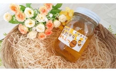 017-10大津養蜂園の天然蜂蜜詰合せDセット(桜510g)