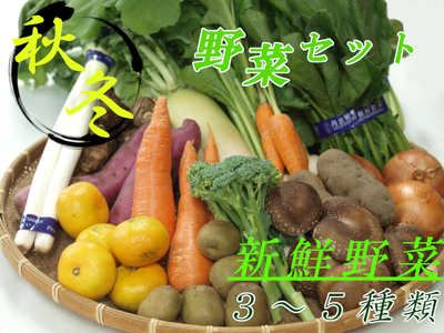 006-05じばさんずの野菜セット
