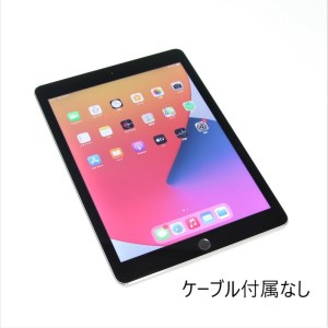 064-01【数量限定】ティーズフューチャーの再生タブレットPC（iPad Air2（A1566）Wi-Fiモデル（ケーブル付属なし））