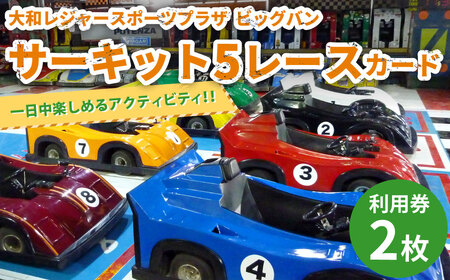 サーキット 5レースカード×2枚セット 大和レジャー スポーツプラザ ビッグバン 室内サーキット スリックカート ドリフト走行 チケット 利用券 室内 スポーツ アミューズメント 神奈川県 大和市 送料無料