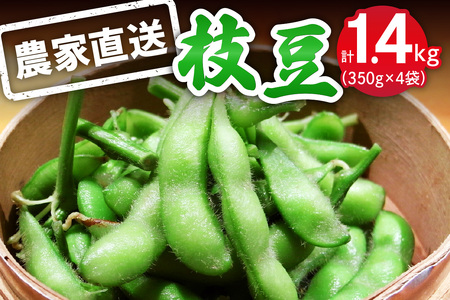 枝豆 1.4kg (350g×4袋) 農家直送!亀井さんちの採れたて枝豆|伊勢原市 えだまめ 産地直送 おつまみ 冷蔵 父の日 贈り物 [0318]