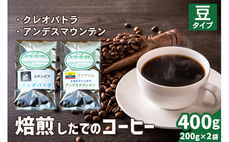 焙煎したてのコーヒー豆 2袋 (クレオパトラ・アンデスマウンテン)[豆][0343]