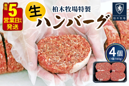 柏木牧場特製 生ハンバーグ 160g×4個 [国産牛100%] ジュワッと肉汁まで美味い!(冷蔵配送)|国産 ハンバーグ 冷蔵 グルメ ギフト お惣菜 惣菜 [0354]