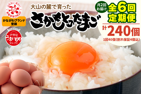 [定期便/3ヶ月] 月2回 全6回 さかもとのたまご 40個 (36個+割れ保証4個) 合計240個