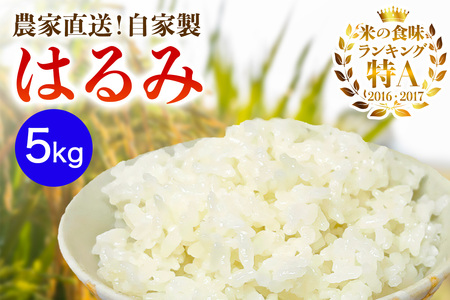 [2025年10月中旬頃から発送] 米 5kg 農家直送!自家製 はるみ |先行予約 お米 おこめ コメ 白米 神奈川 伊勢原 ブランド米 [0523]