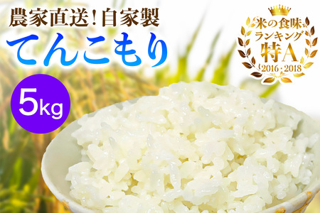 [2025年10月下旬頃から発送] 米 5kg 農家直送!自家製 てんこもり|先行予約 お米 おこめ コメ 白米 神奈川 伊勢原 [0526]
