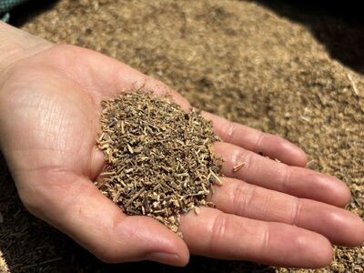 竹チップ 枯竹 細目 60Lマルチング材 防草対策 竹の絨毯(R) エクステリア用』|竹チップ コンポスト マルチング材 堆肥用 雑草対策 防草対策 [0612]