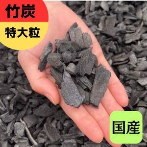 竹炭 特大粒 1.2L 土壌改良 園芸 消臭 調湿効果|竹炭 観葉植物 調湿 ポーラス竹炭 菌ちゃん農法 [0593]