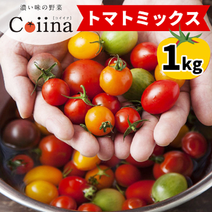 [2025年12月下旬より発送] Coiinaトマトミックス 厳選!詰め合わせセット 1kg|コイイナ コイーナ 濃い味 ブランドトマト リコピン アイメック栽培 甘い 旨い 食感が良い [0670]