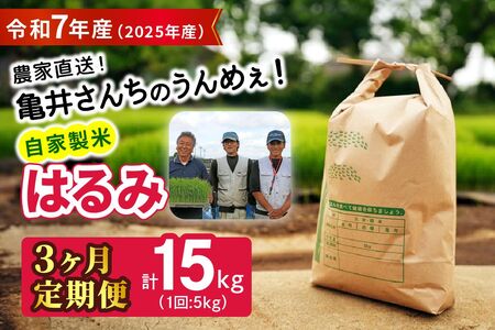 [定期便/3ヶ月連続] 令和7年産 伊勢原産 精米(5kg×3回)計15kg はるみ 農家直送!亀井さんちのうんめぇ!自家製米| お米 おこめ コメ 白米 神奈川 伊勢原 ブランド米 [0977]