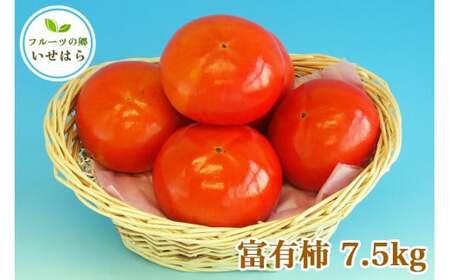 [2025年11月中旬以降発送 数量限定] 2025年産フルーツの郷いせはら 富有柿 7.5kg|先行予約 [0359]