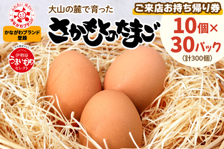 さかもとのたまご「ご来店お持ち帰り用券」合計300個 (10個×30パック)｜坂本養鶏 大山の麓で育ったさかもとのたまご 赤玉卵 玉子 鶏卵 [0087]