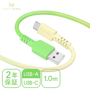 MOTTERU(モッテル) グラデーションケーブル 急速充電 データ転送対応 USB-A to USB-C 1m 2年保証(MOT-SCBACG100) メロンクリームソーダ [ ケーブル 神奈川県 海老名市 ]