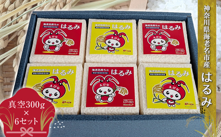神奈川県海老名市産はるみ 真空300g×6セット[ お米 神奈川県 海老名市 ]