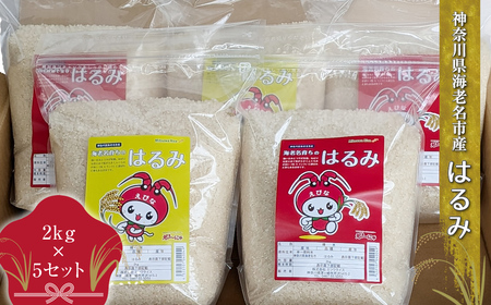 神奈川県海老名市産はるみ 2kg×5セット[ お米 神奈川県 海老名市 ]