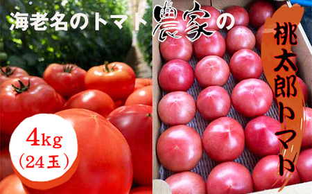 QOQUNn@ʌ@s\񁚊CṼg}g_Ƃ̓Yg}g@Si24ʁjqo׎FQOQUNTPT`QOQUNUPTry g}g _ސ쌧 CVs