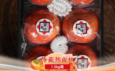 【先行予約】冷蔵熟成柿1.5kg箱　〈出荷時期：2026年12月20日～2027年2月28日出荷終了〉【 柿 かき フルーツ 神奈川県 海老名市 】