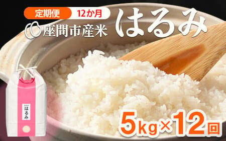 yցz12 ԎsY ͂5kg×12 ւ̔zs2025N10{菇\