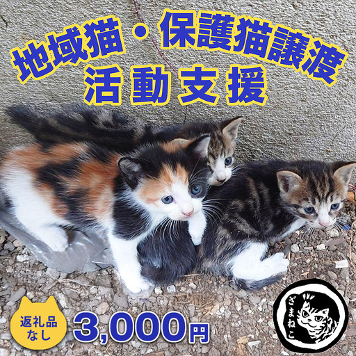 【返礼品なし】地域猫・保護猫譲渡活動支援　NPO法人ざま野良猫を増やさない会 3,000円 | 猫 ねこ 動物 保護 愛護 譲渡 保護活動 応援 支援 寄附
