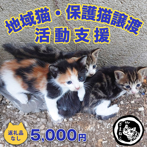 【返礼品なし】地域猫・保護猫譲渡活動支援　NPO法人ざま野良猫を増やさない会 5,000円 | 猫 ねこ 動物 保護 愛護 譲渡 保護活動 応援 支援 寄附