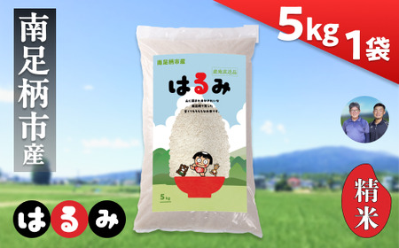 令和7年 新米 南足柄産のブランド米「はるみ(精米)」 5kg×1袋 [出荷時期:2025年10月末頃より順次出荷予定][ お米 神奈川県 南足柄市 ]