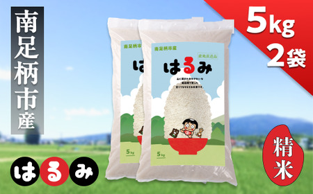 ߘa7N V 쑫Ỹuhāu͂()v 5kg×2 v10kgo׎F2025N10菇oח\聄y  _ސ쌧 쑫s z