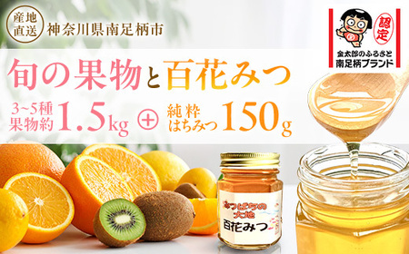 旬の果物とはちみつのセット[ はちみつ 蜂蜜 ハニー 神奈川県 南足柄市 ]