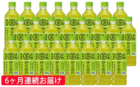 お茶 定期便 6ヶ月 サントリー 緑茶 伊右衛門 525ml × 24本 ペット