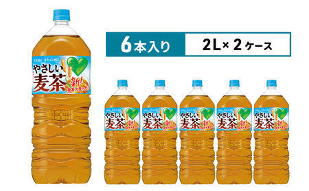 麦茶 GREEN DA・KA・RA やさしい麦茶 2L×6本 2箱 ペットボトル 