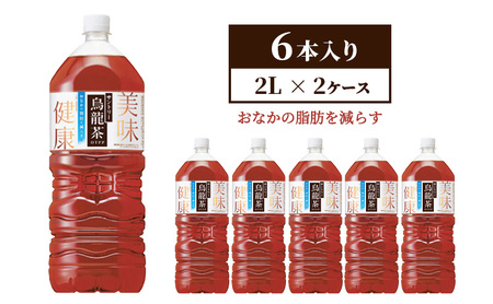 サントリー烏龍茶OTPP（機能性表示食品）2L&#215;6本 2箱 ペットボトル