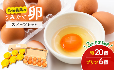 [3か月定期便] うみたて 卵 スイーツ セット 鈴保養鶏 たまご 20個 プリン 6個玉子 詰め合わせ 鶏卵 こだわり おやつ たまご定期便