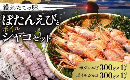 [獲れたての味!]ボタンエビ300g×1パック・ボイルシャコ300g×1パック セット品