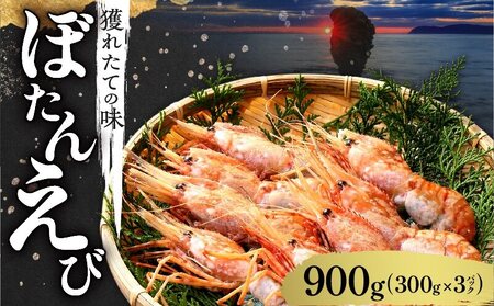 [獲れたての味!]ボタンエビ300g×3パック 甲殻類 魚介類 余市町産ボタンエビ 北海道産ボタンエビ お刺身 ぼたんえび 北海道 余市町 