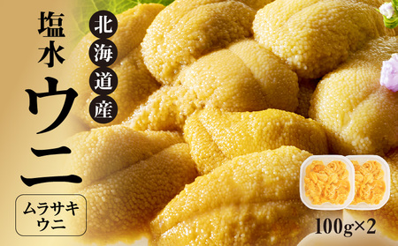 【先行受付】北海道産 世壱屋 塩水ウニ（ムラサキウニ）200g_Y038-0139