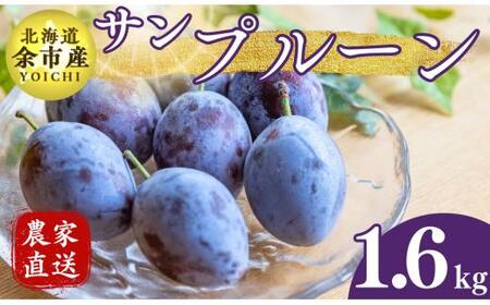 【先行受付：2025年10月上旬以降発送】余市産 サンプルーン 松村農園産 1.6kg_Y067-0201